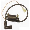 (yng)CY80cȦ Ħ܇߉IGNITION COIL