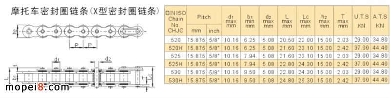 motor chain.jpg