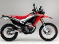 ձĦ܇չCRF250Ħ܇