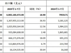 2024年前七月：中國(guó)摩托車(chē)出口漲勢(shì)穩(wěn)定，拉丁美洲成最大增長(zhǎng)點(diǎn)